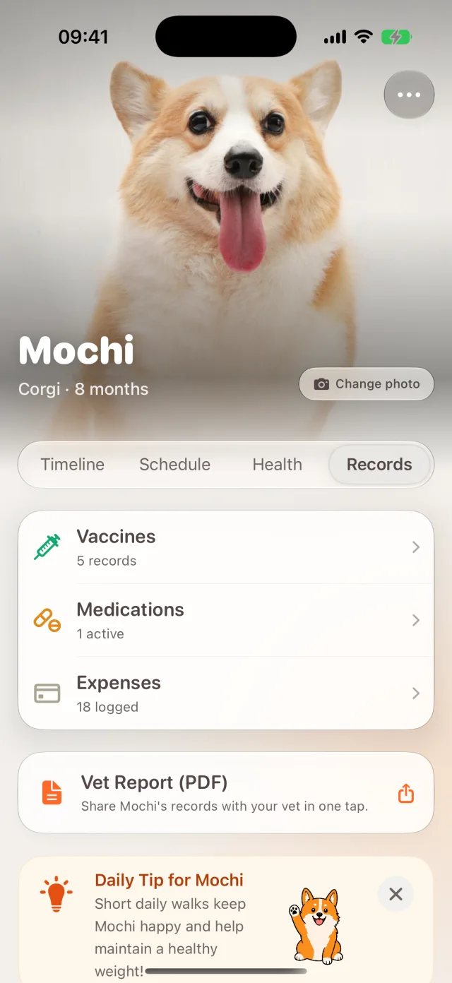 Dote vaccine, medication, and vet records