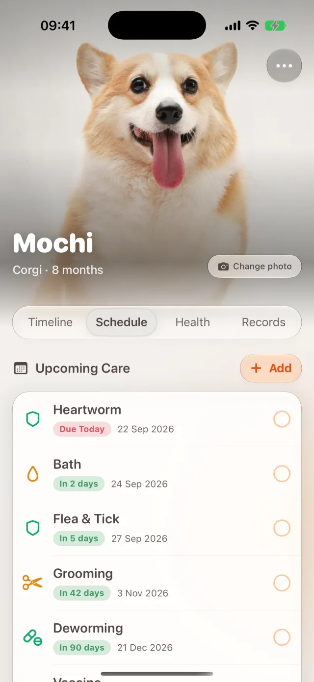 Dote personalized care schedule