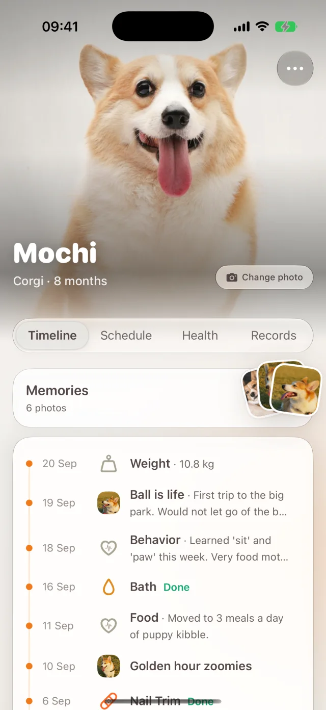 A pet's photo and care timeline in Dote